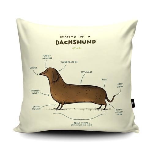 Anatomy of a Dachshund Giant Floor Cushion and Scatter Cushions