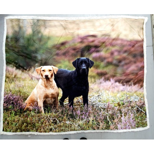 Labradors on Moor Throw 130x150cms  by Country Matters