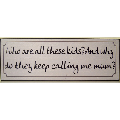VINTAGE STLYE WOODEN  WALL PLAQUE/HANGING SIGN ‘Who are all these kids? And why do they keep calling