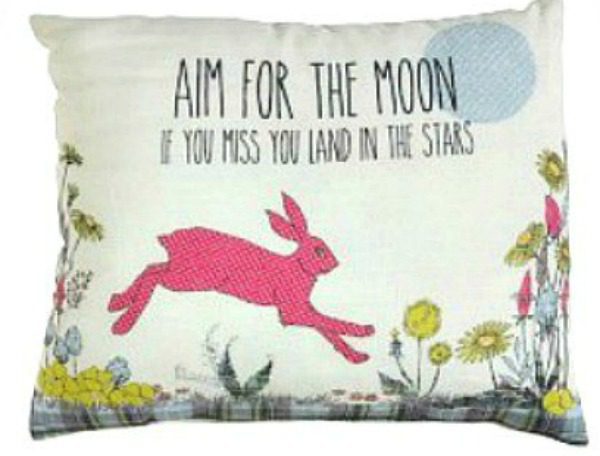 Aim for the Moon and if you miss you land in the Stars Cushon