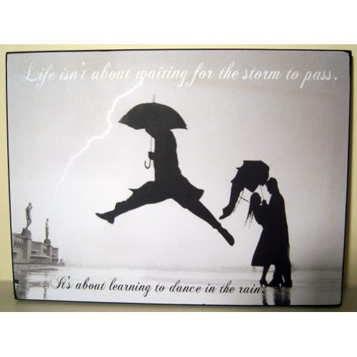 Vintage Wooden Wall Picture ‘Life isn’t about waiting for the storm to pass … It’s about learning