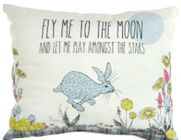 Fly me to the Moon and let me Play  amongst dteh Stars Cushion