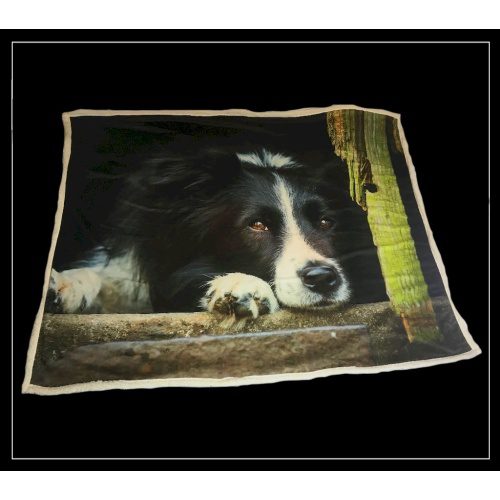 Collie Throw 130x150cms  by Country Matters