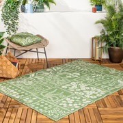 Forage Sage Green Indoor/Outdoor Rug 120x170cms Cushions 43x43cms